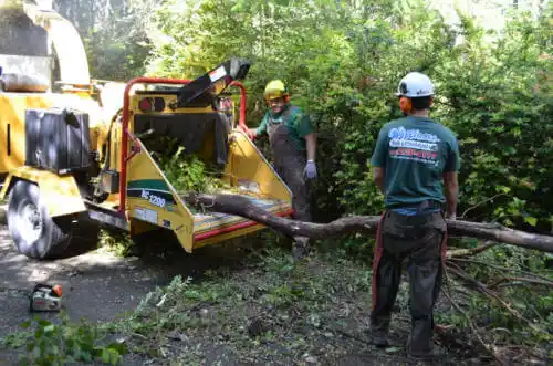 tree services Barnesville